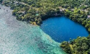 ¿Cómo se formaron los cenotes que se encuentran tanto en Yucatán y Quintana Roo?